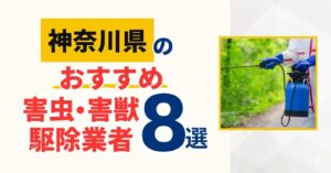 神奈川のおすすめ害虫・害獣駆除業者9選|特徴や料金を徹底比較!